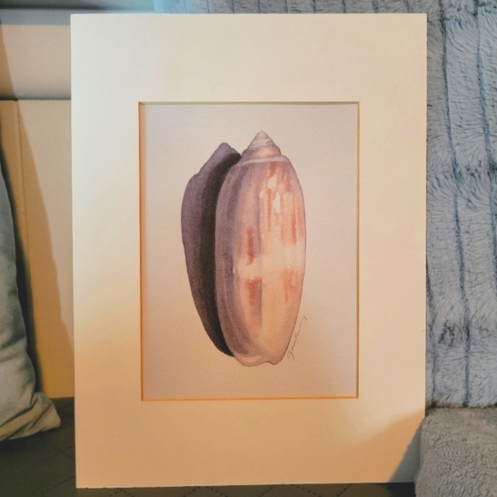 Lettered Olive, Seashell, Fine Art Print w/ Mat